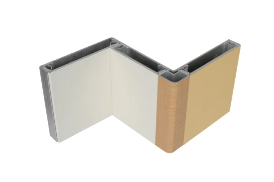 Nouveau matériau de construction A2 Fr Panneau composite en aluminium pour revêtement de mur extérieur